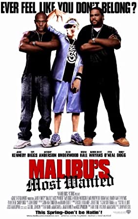 Malibu's Most Wanted Main Poster