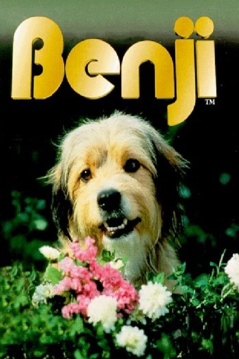 Benji Main Poster