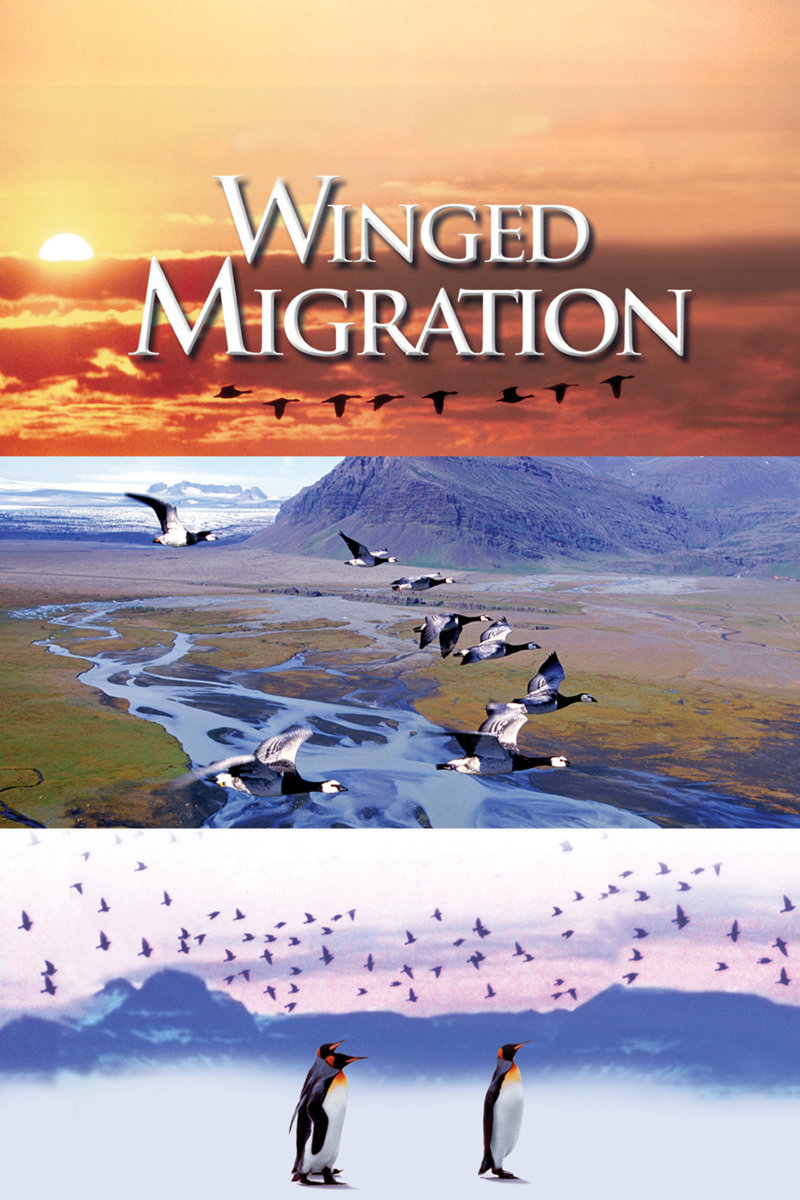 Winged Migration Main Poster