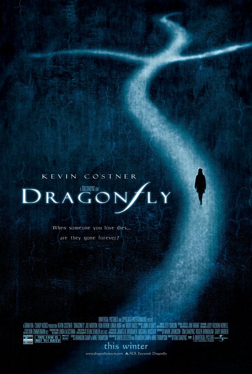 Dragonfly Main Poster