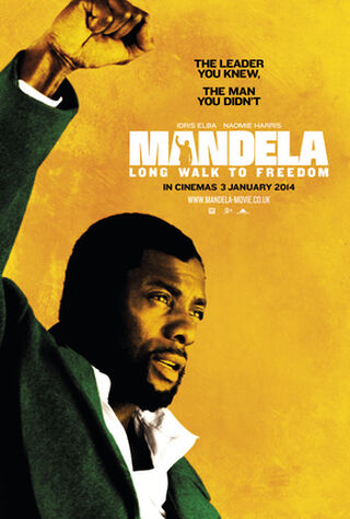 Mandela: Long Walk To Freedom (2013) Main Poster