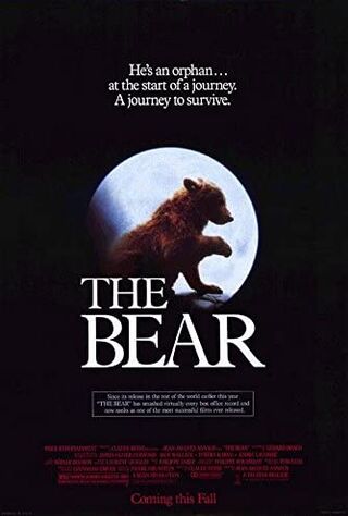 The Bear (1989) Main Poster