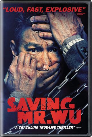 Saving Mr. Wu (2015) Main Poster