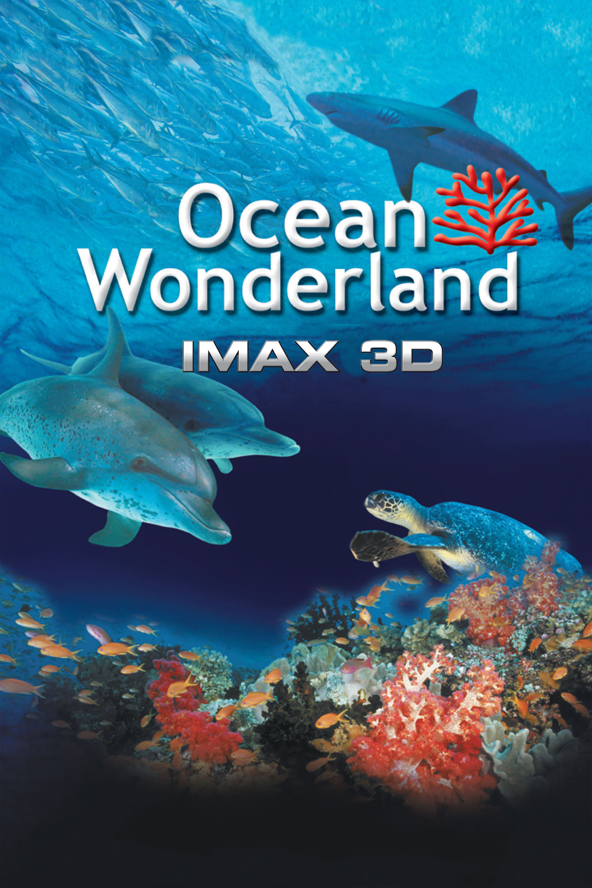 Ocean Wonderland Main Poster