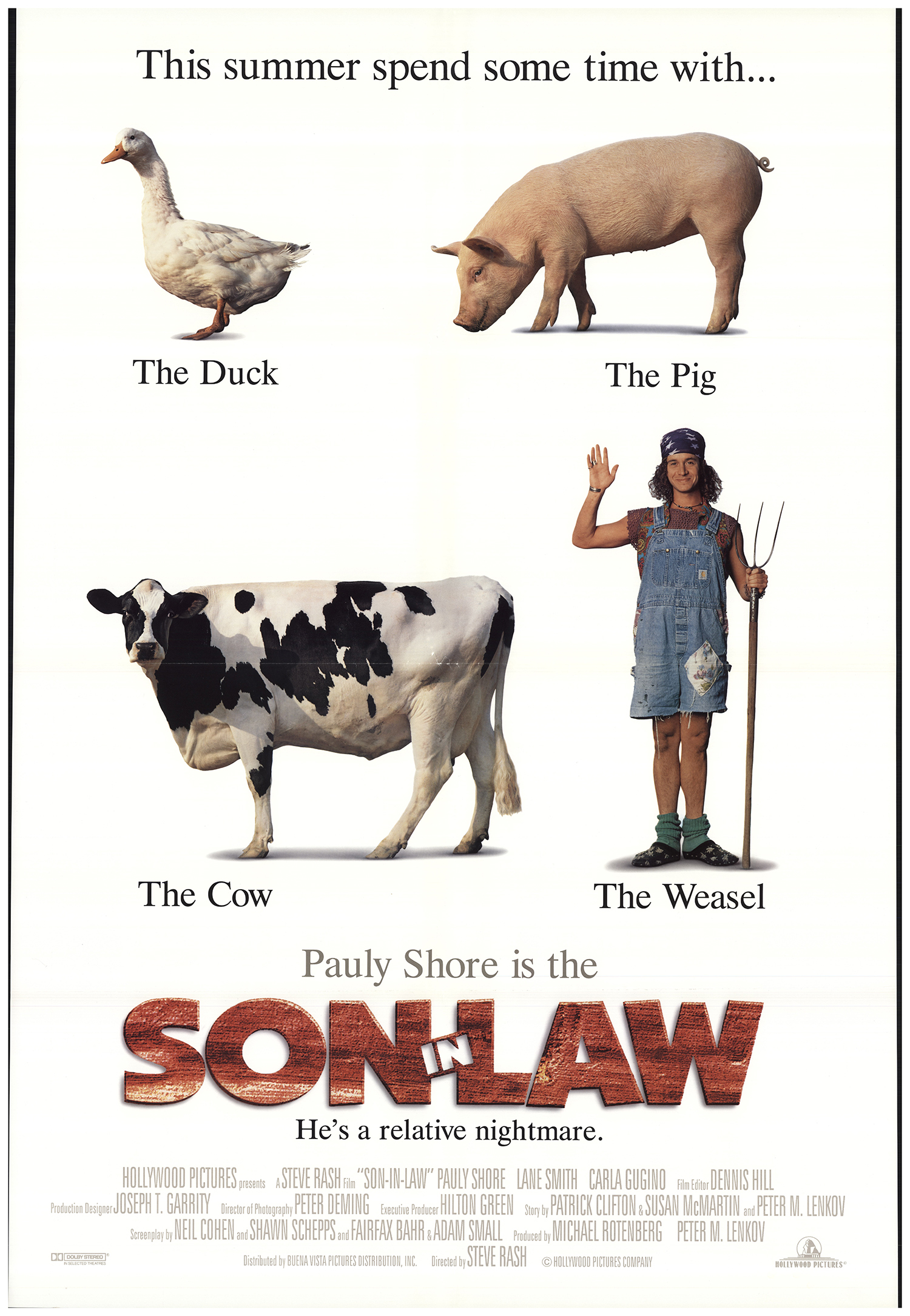 Son In Law Main Poster