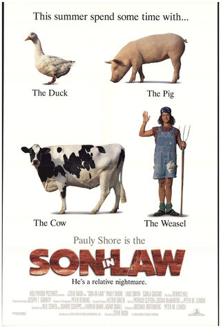 Son In Law (1993) Main Poster