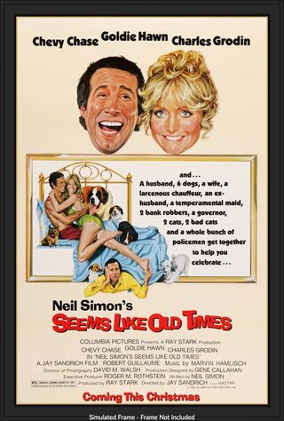 Seems Like Old Times (1980) Main Poster