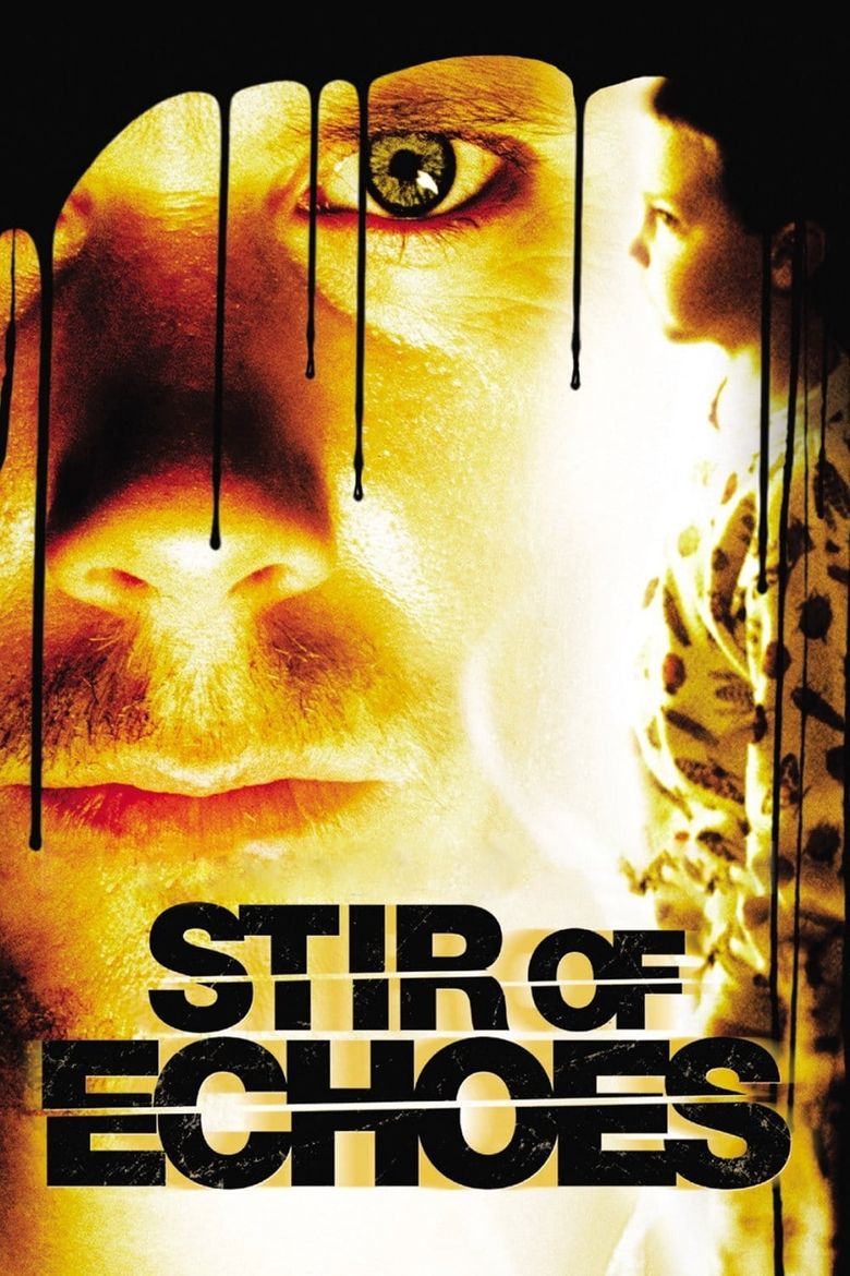 Stir Of Echoes Main Poster