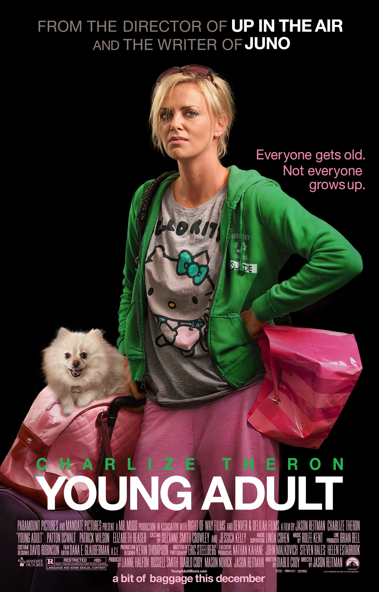Young Adult Main Poster