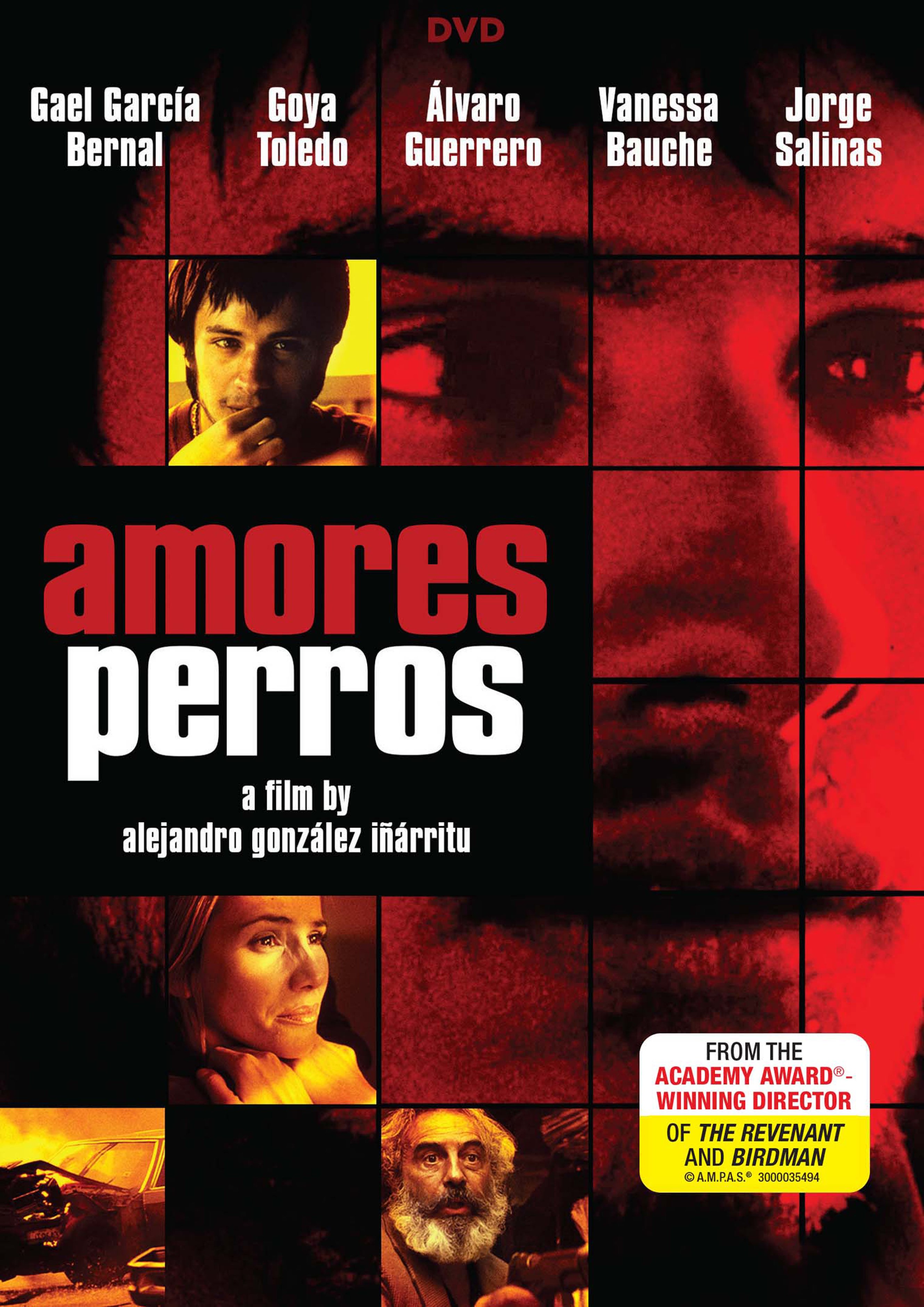Amores Perros Main Poster