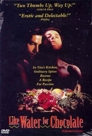Como Agua Para Chocolate (1993) Main Poster