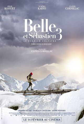 Belle And Sebastian, Friends For Life (2018) Main Poster