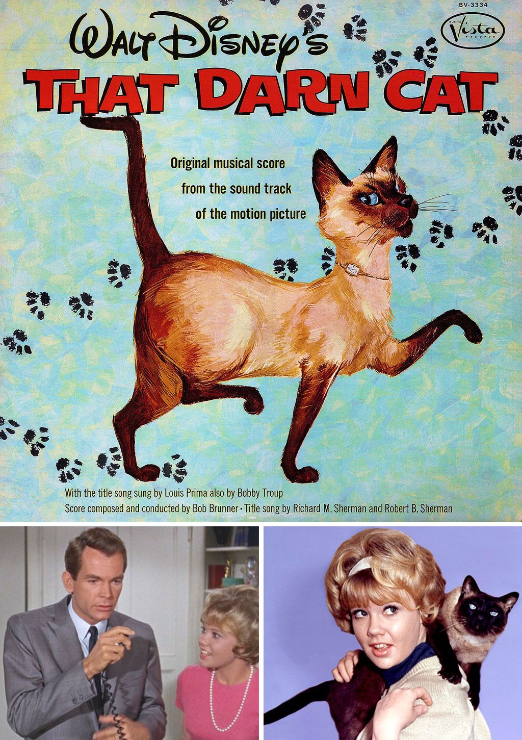 That Darn Cat Main Poster