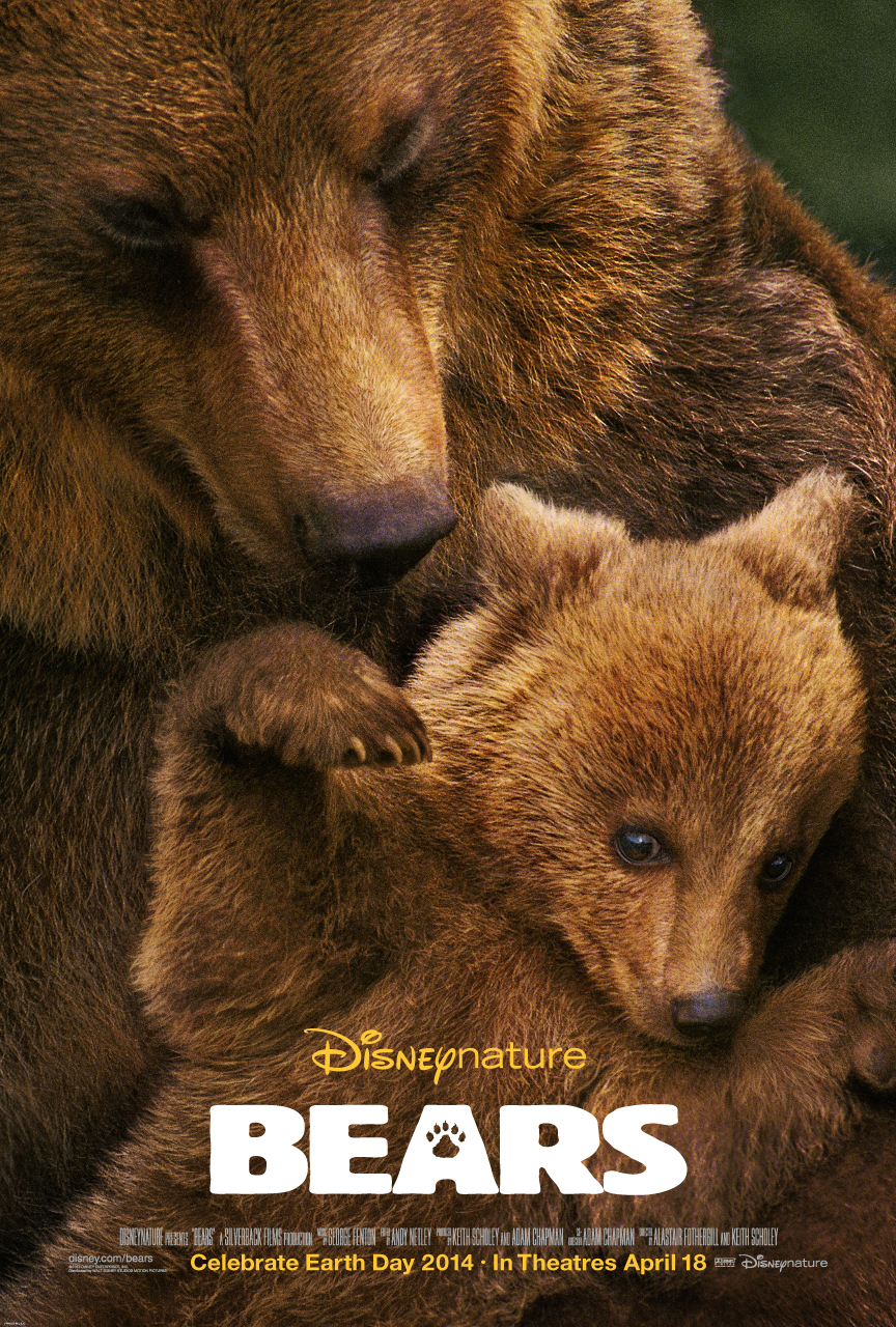 Bears Main Poster