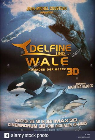 Dolphins And Whales 3D: Tribes Of The Ocean (2009) Main Poster