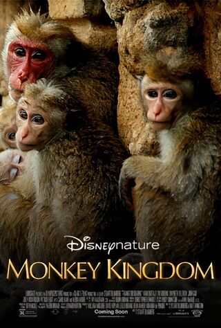 Monkey Kingdom (2015) Main Poster