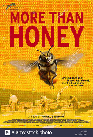More Than Honey (2012) Main Poster