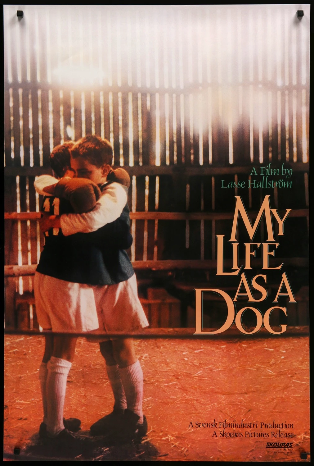 My Life As A Dog (1987) Main Poster