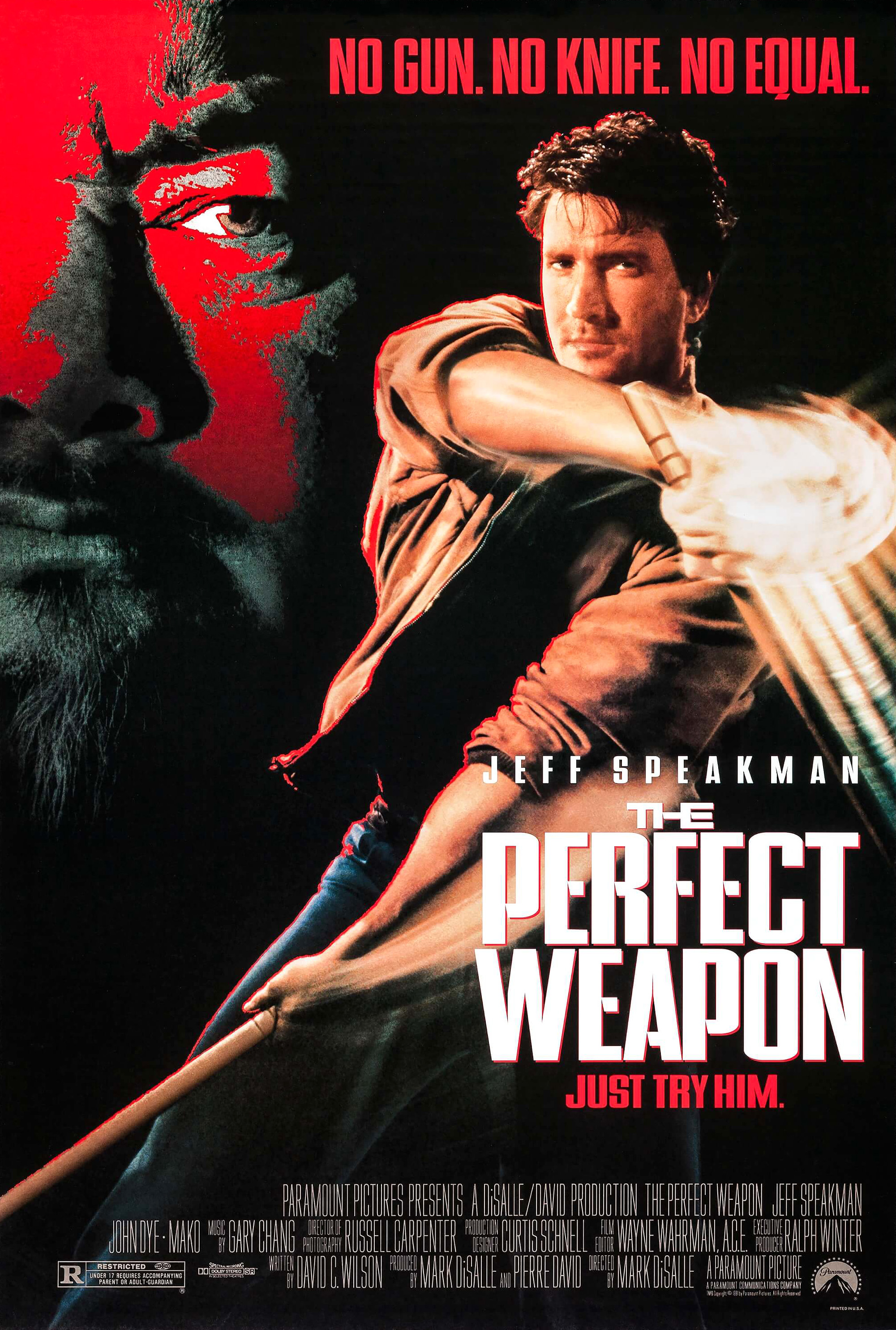 The Perfect Weapon Main Poster