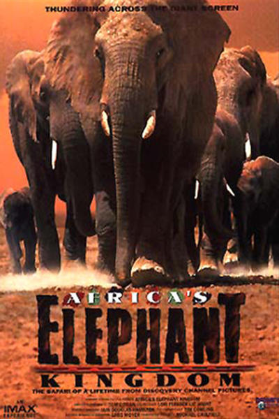 Africa's Elephant Kingdom Main Poster