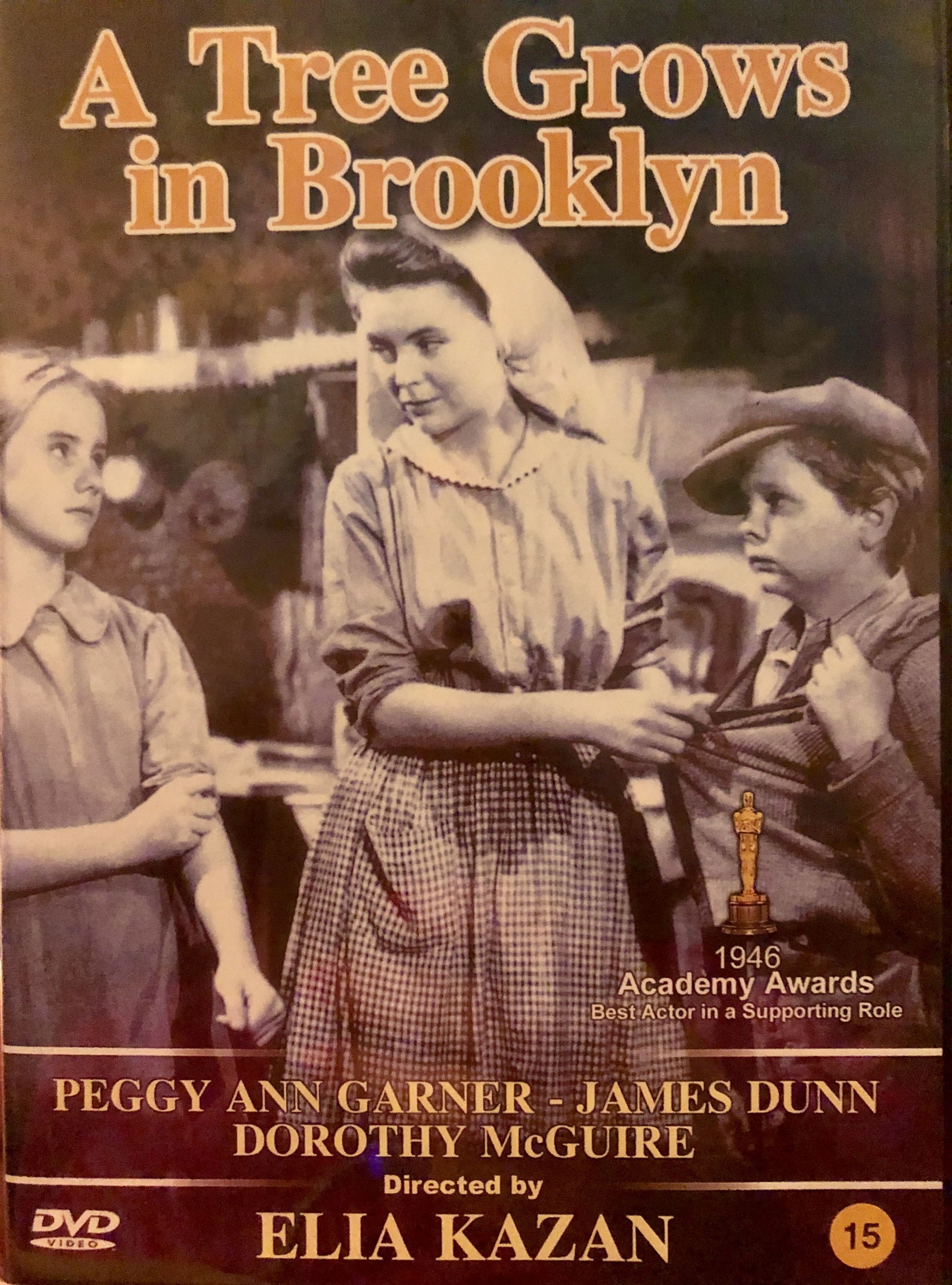 A Tree Grows In Brooklyn Main Poster