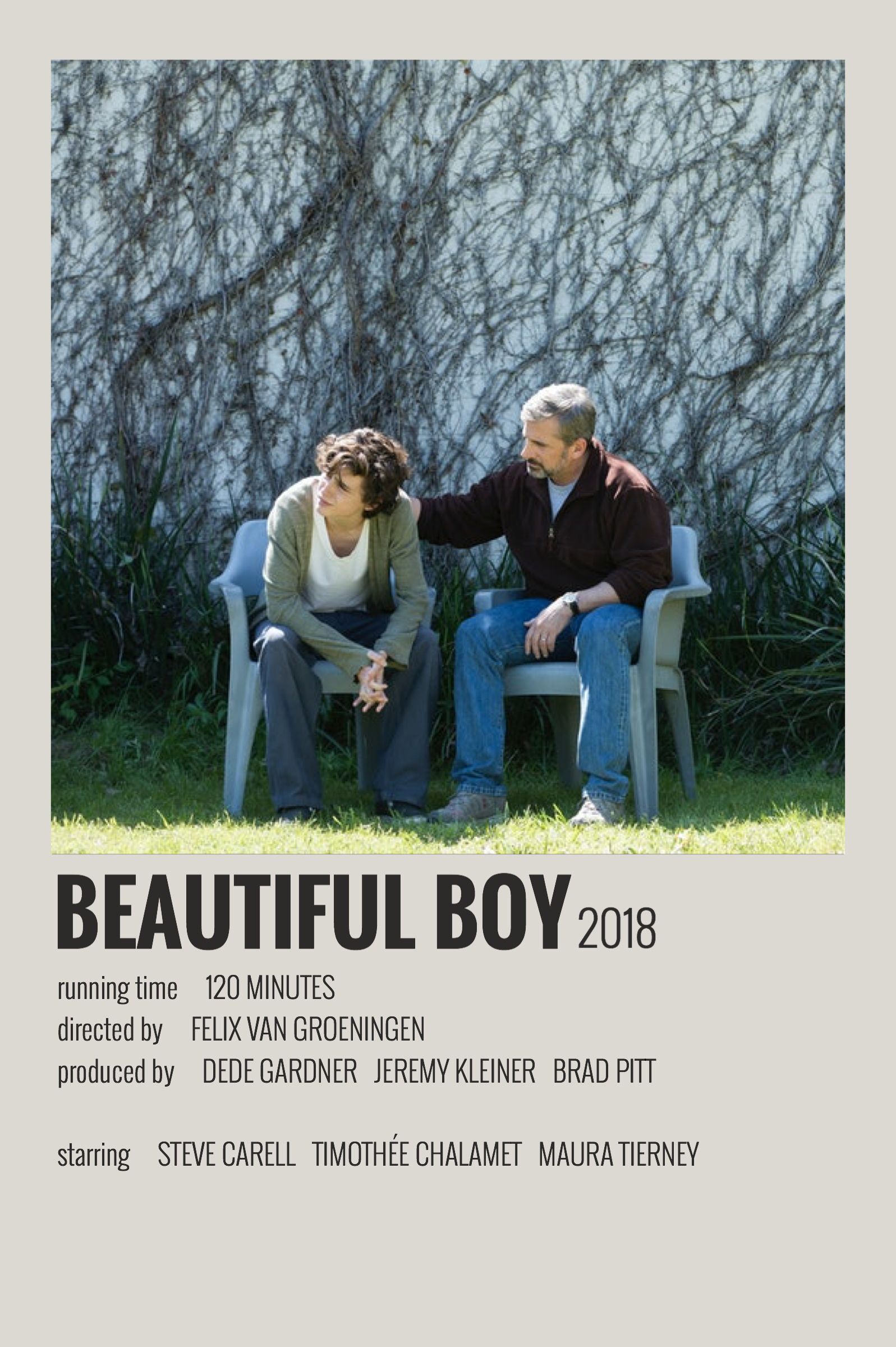 Beautiful Boy (2018) Main Poster