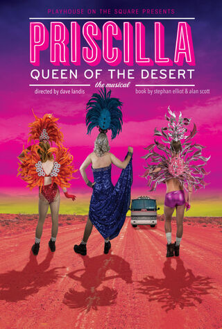 The Adventures Of Priscilla, Queen Of The Desert (1994) Main Poster