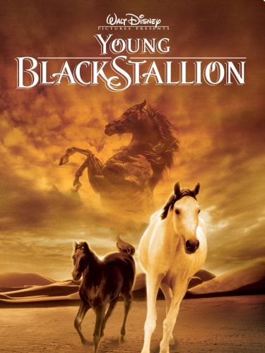 The Young Black Stallion Main Poster