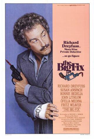 The Big Fix (1978) Main Poster