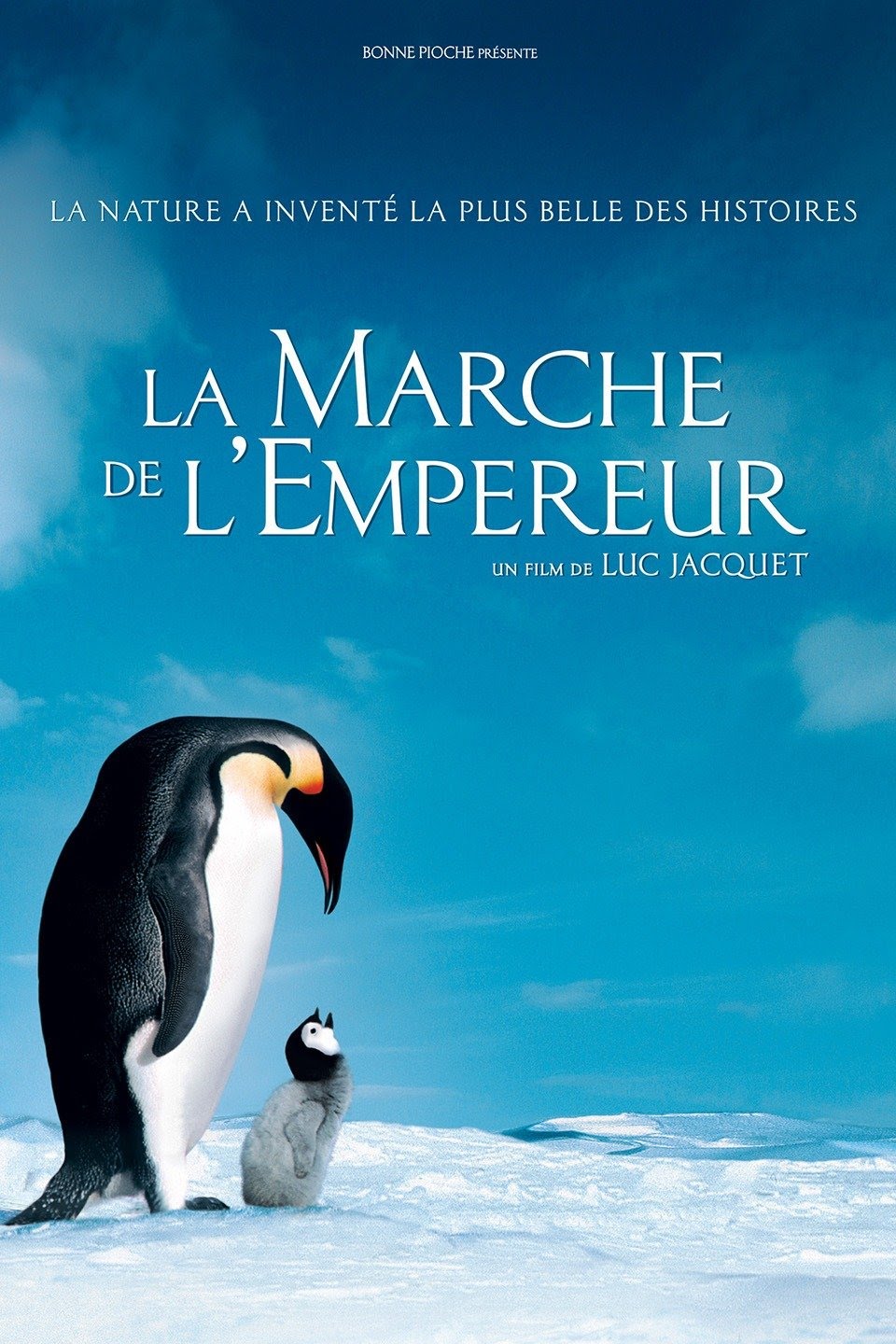 March Of The Penguins Main Poster