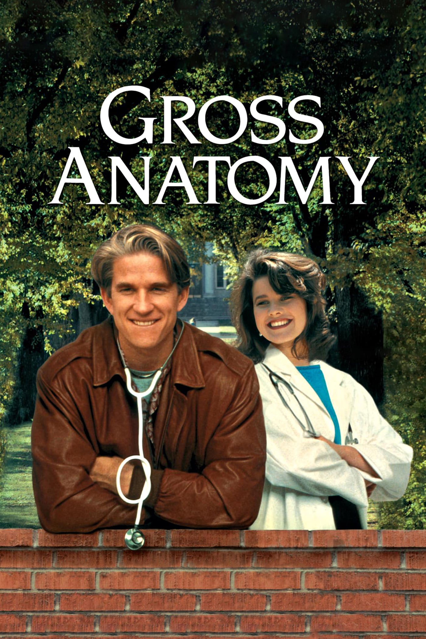 Gross Anatomy Main Poster