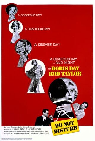 Do Not Disturb (1965) Main Poster