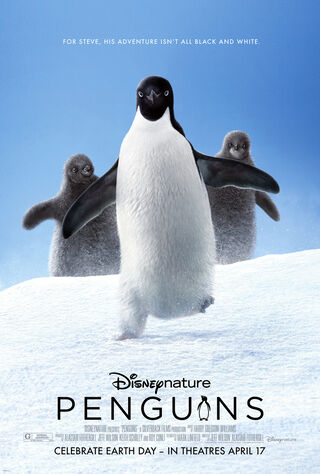 Penguins (2019) Main Poster