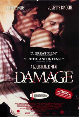 Damage (1993) Main Poster