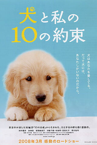 10 Promises To My Dog (2008) Main Poster