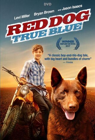 Red Dog: True Blue (2016) Main Poster