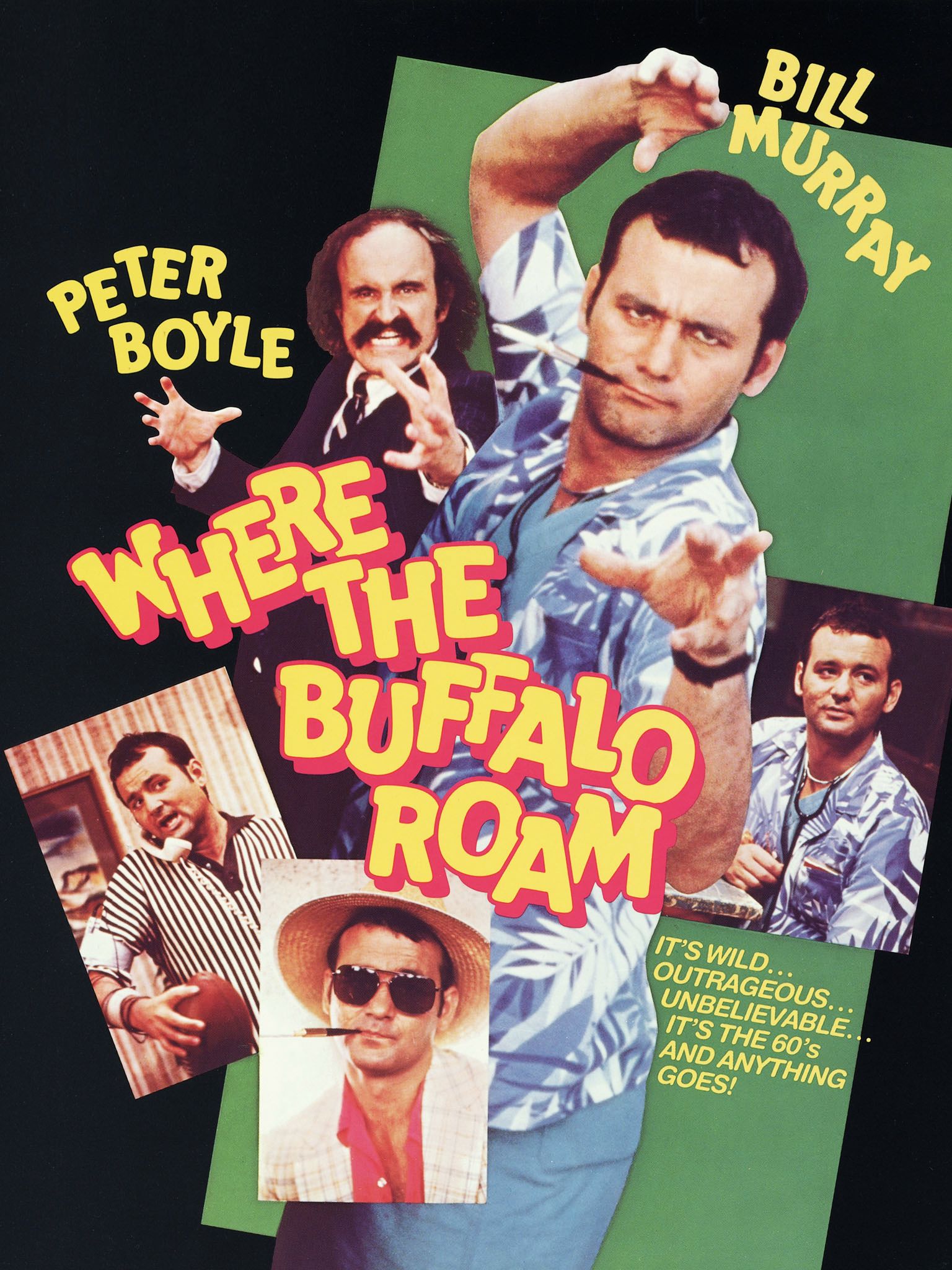 Where The Buffalo Roam Main Poster