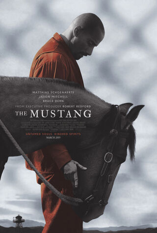 The Mustang (2019) Main Poster