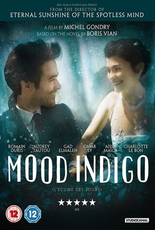 Mood Indigo (2014) Main Poster