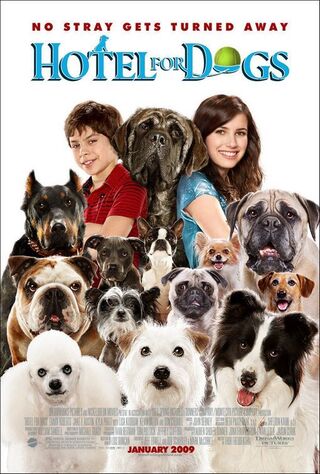 Hotel For Dogs (2009) Main Poster