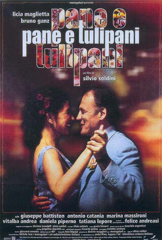 Bread And Tulips (2001) Main Poster
