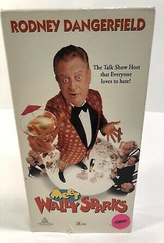 Meet Wally Sparks (1997) Main Poster