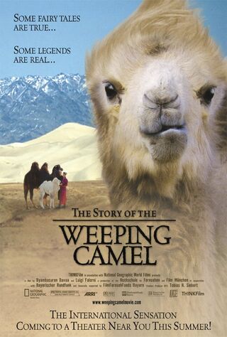 The Story Of The Weeping Camel (2004) Main Poster