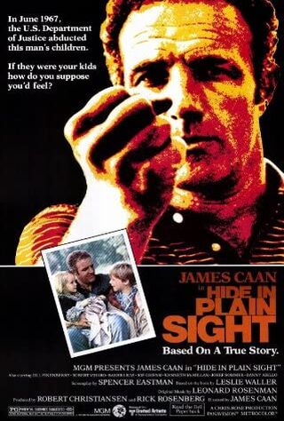 Hide In Plain Sight (1980) Main Poster