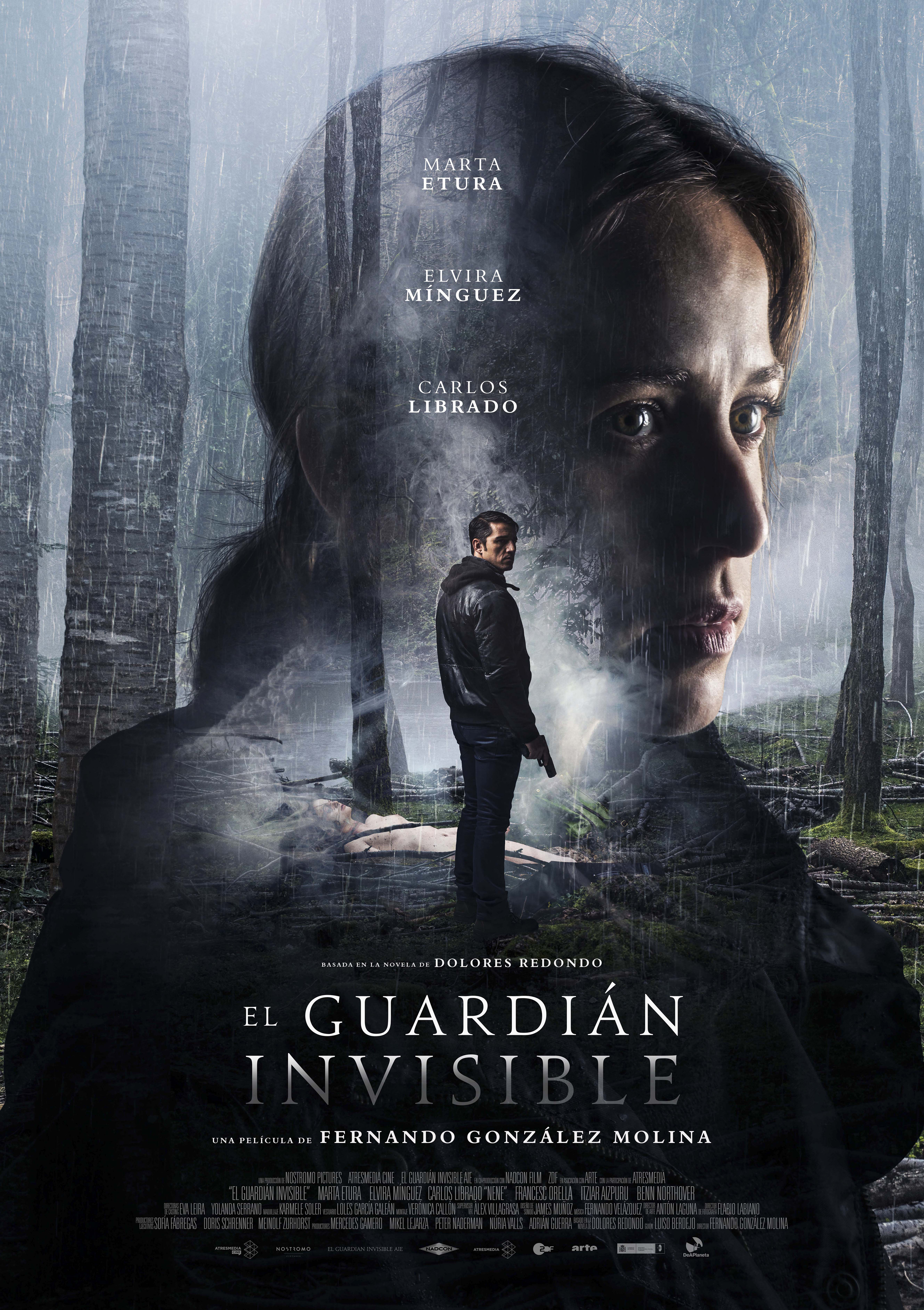 The Invisible Guardian (2017) Main Poster