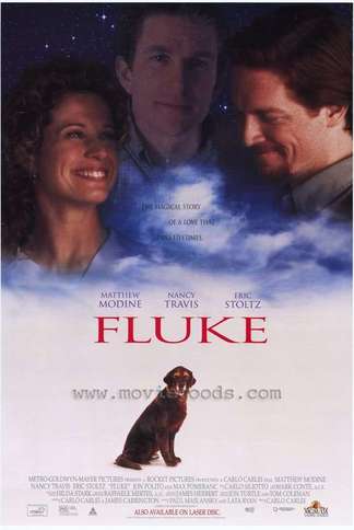 Fluke (1995) Main Poster