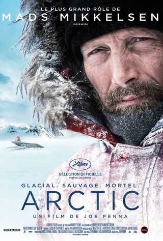 Arctic (2019) Main Poster