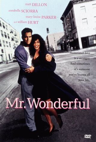 Mr. Wonderful (1993) Main Poster