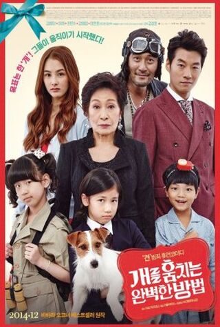 How To Steal A Dog (2014) Main Poster