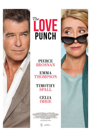 The Love Punch (2014) Main Poster